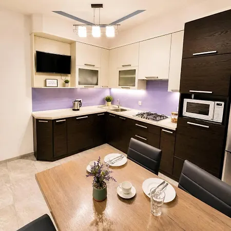 Appartement Tsehova 1 Lviv