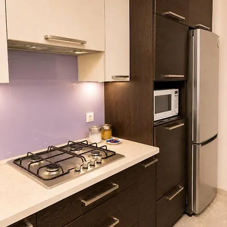 Appartement Tsehova 1 Lviv